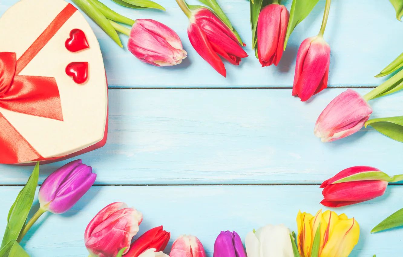 Фото обои цветы, colorful, тюльпаны, wood, flowers, tulips, spring, gift box