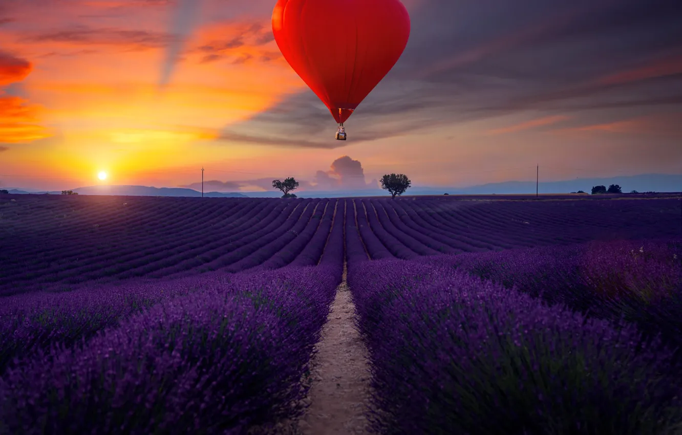 Фото обои поле, пейзаж, закат, природа, воздушный шар, сердце, Франция, вечер, лаванда