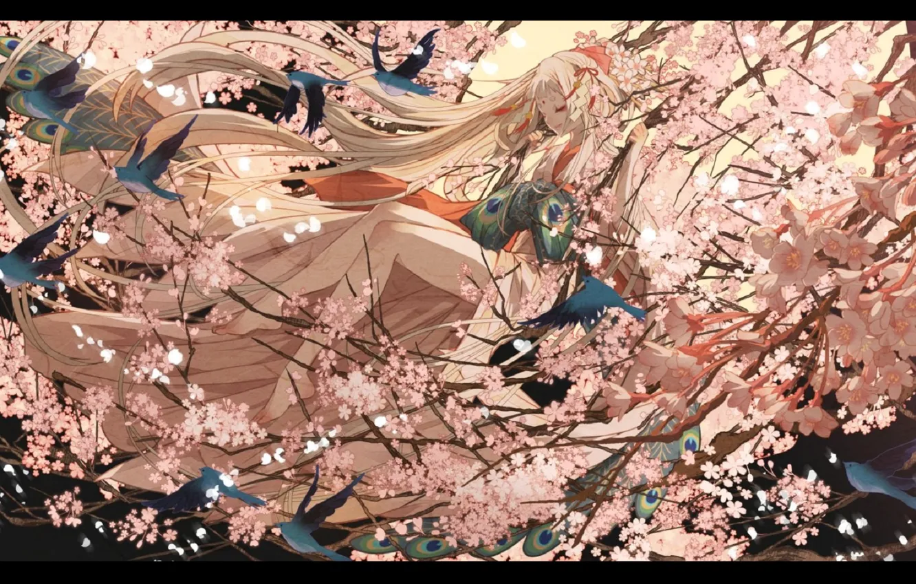 Фото обои птички, жрица, на дереве, японская одежда, закрытые глаза, павлиний глаз, длинные белые волосы, весеннее цветение, …