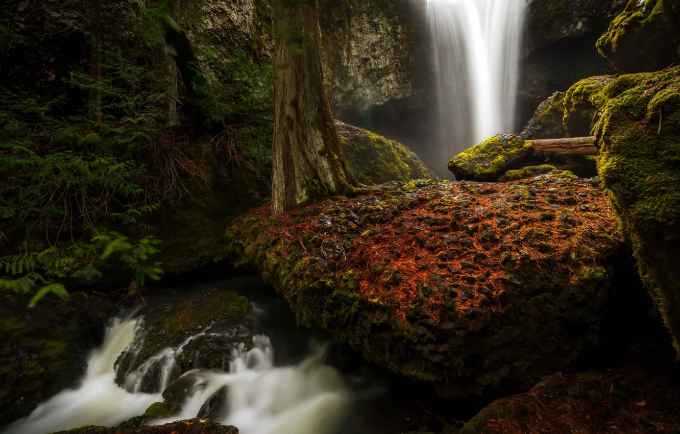 Фото обои waterfall, washington, Spring flow, yakima county