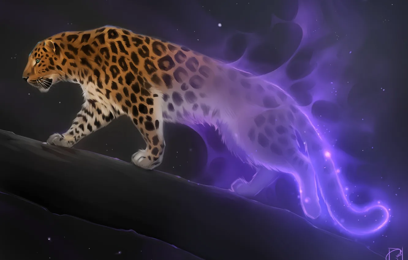 Фото обои фэнтези, арт, большая кошка, Александра Хитрова, GaudiBuendia, ночь звёзды, лноперд