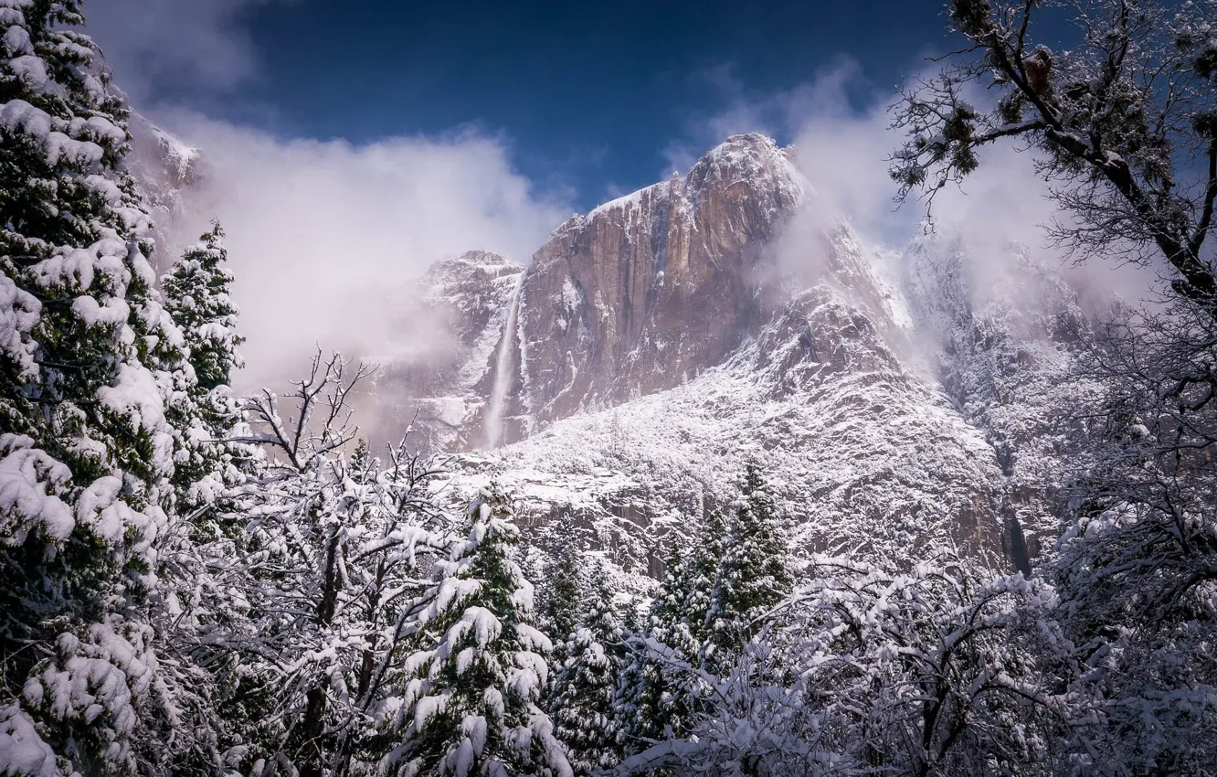 Фото обои зима, лес, пейзаж, природа, туман, скала, гора, красота