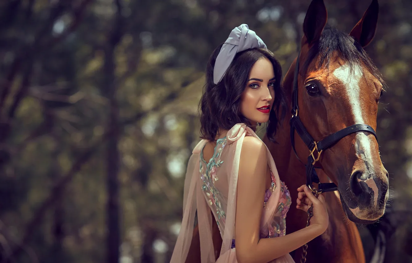 Фото обои девушка, деревья, конь, лошадь, брюнетка