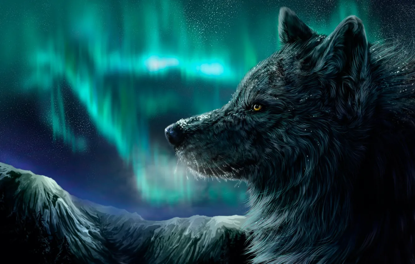 Фото обои зима, ночь, волк, северное сияние, падает снег