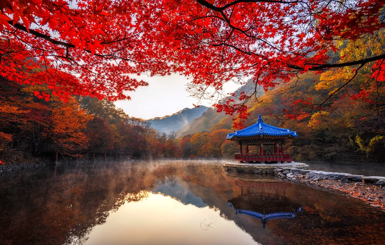 Фото обои осень, деревья, пейзаж, горы, ветки, природа, туман, пруд, парк, беседка, Южная Корея, павильон, Naejangsan