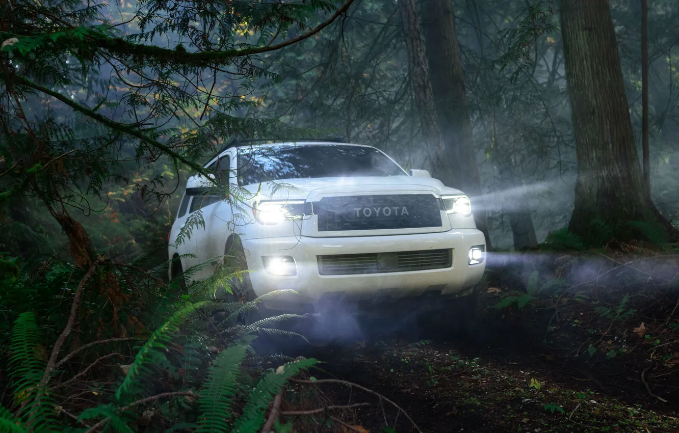 Фото обои машина, лес, свет, деревья, фары, оптика, Toyota, Sequoia, полноразмерный внедорожник, TRD Pro