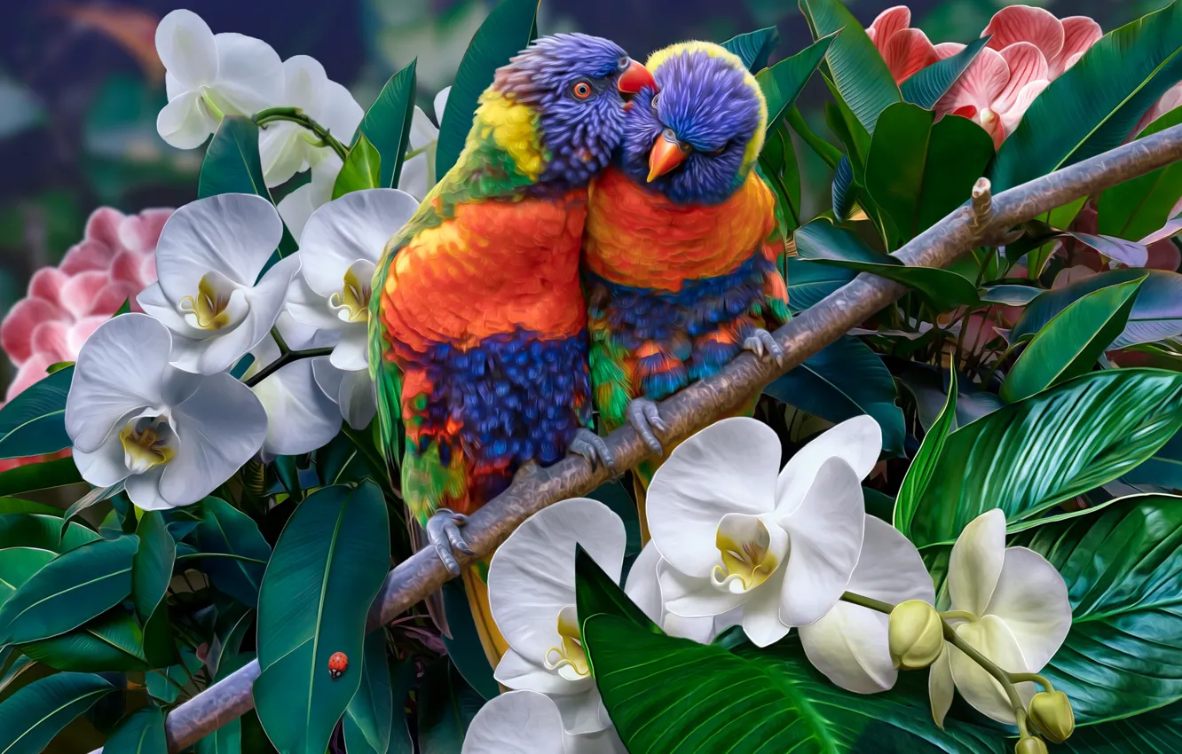 Фото обои цветы, птицы, природа, попугай, попугаи