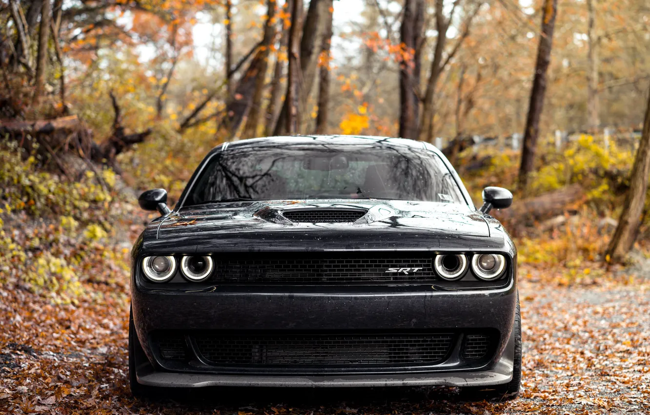 Фото обои Dodge, Challenger, SRT, Face, Forest, Sight