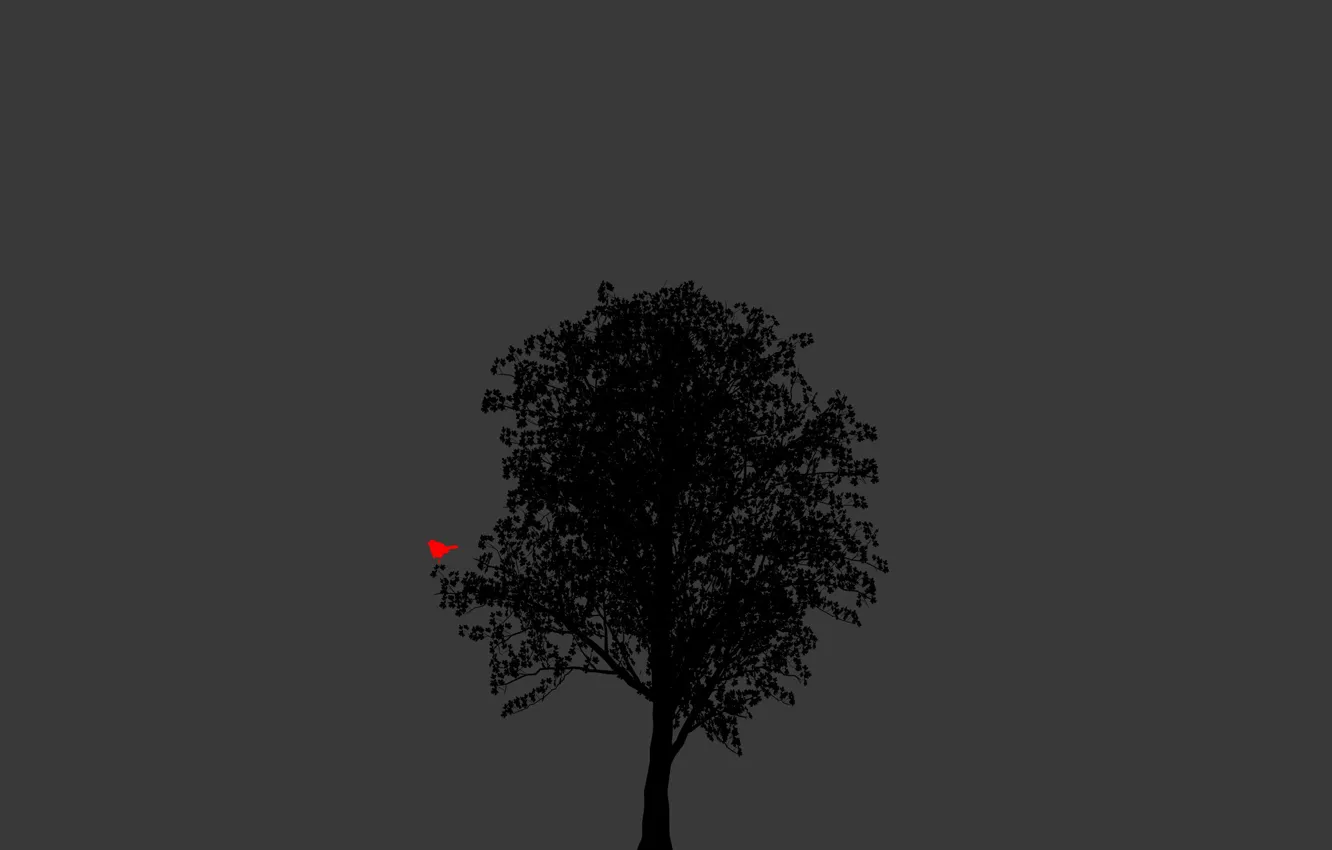 Фото обои дерево, птица, черный фон, минимализм обои