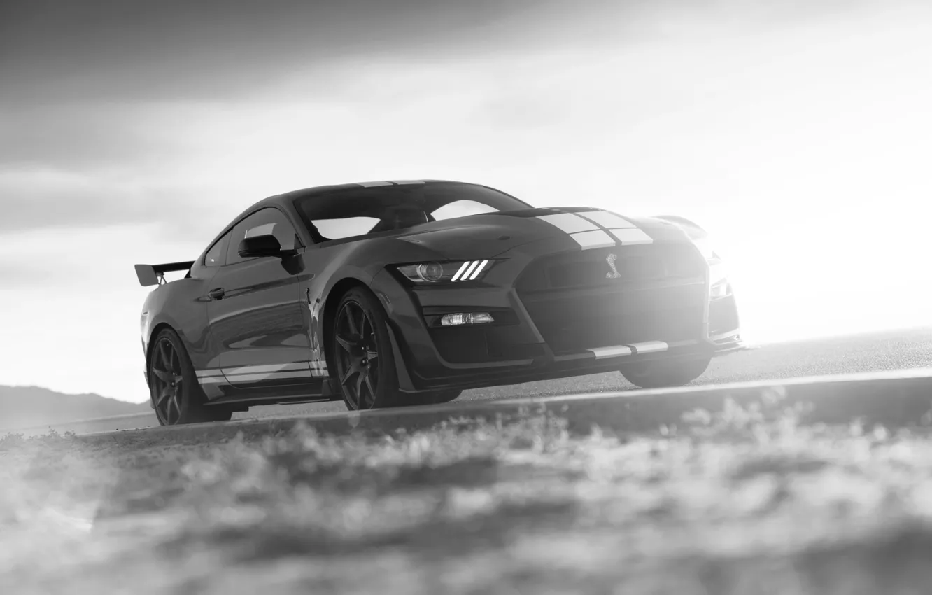 Фото обои Mustang, Ford, Shelby, GT500, обочина, 2019