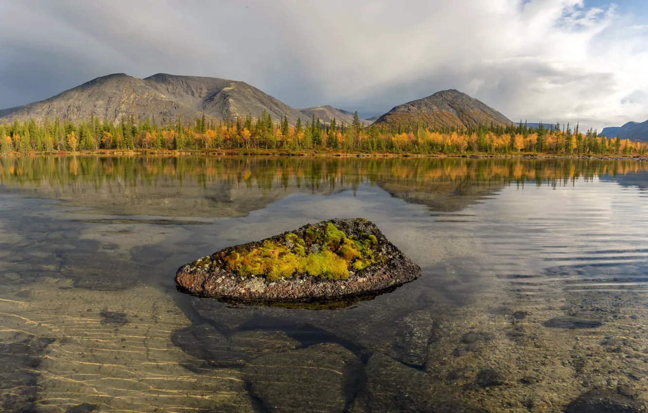 Фото обои осень, деревья, пейзаж, горы, природа, озеро, камни, дно, Хибины, Кольский полуостров, Vaschenkov Pavel