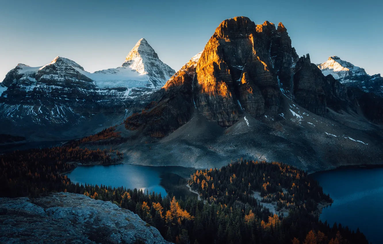 Фото обои лес, горы, озеро, Альпы, forest, mountains, lake, Alps, Jason Ma
