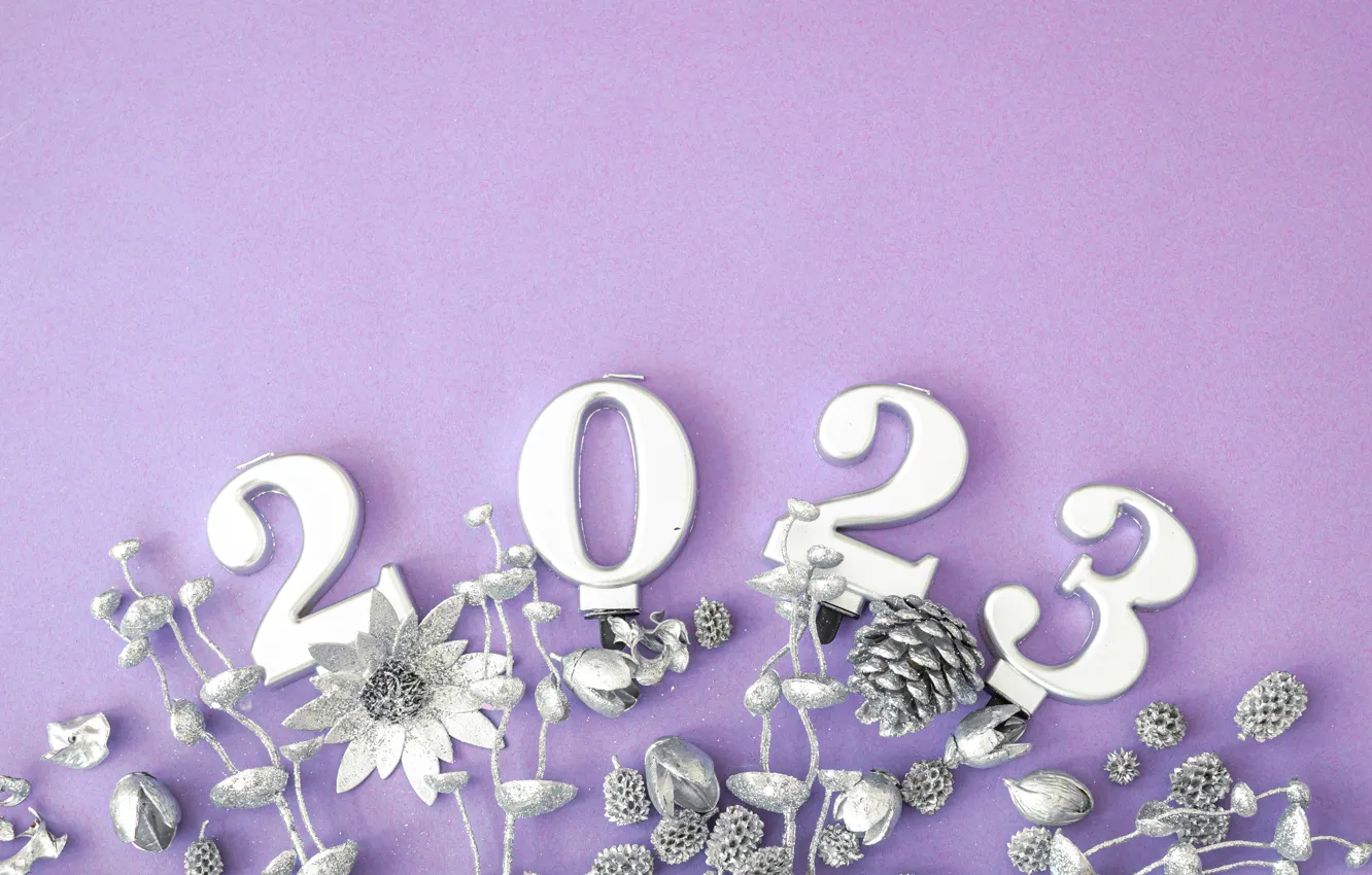 Фото обои стебли, серебро, растения, цифры, Новый год, шишки, дата, новогодние украшения, сиреневый фон, 2023, Новый 2023 …