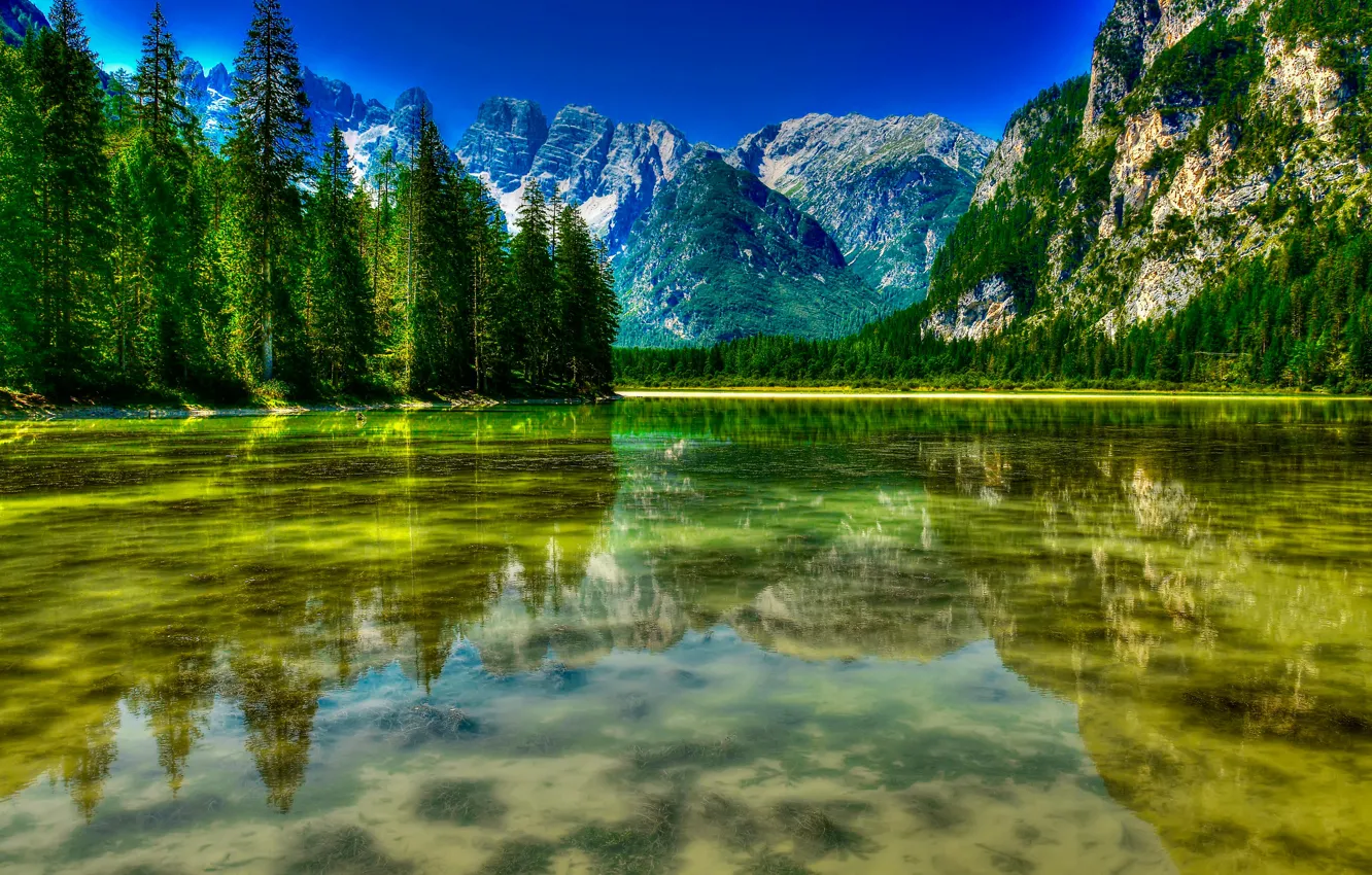 Фото обои лес, деревья, горы, озеро, Италия, Italy, Доломитовые Альпы, Южный Тироль, South Tyrol, Dolomites, Доломиты, Озеро …