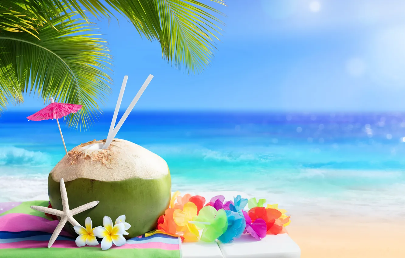 Фото обои песок, море, пляж, лето, отдых, summer, beach, sea, coconut, vacation, tropical, palm